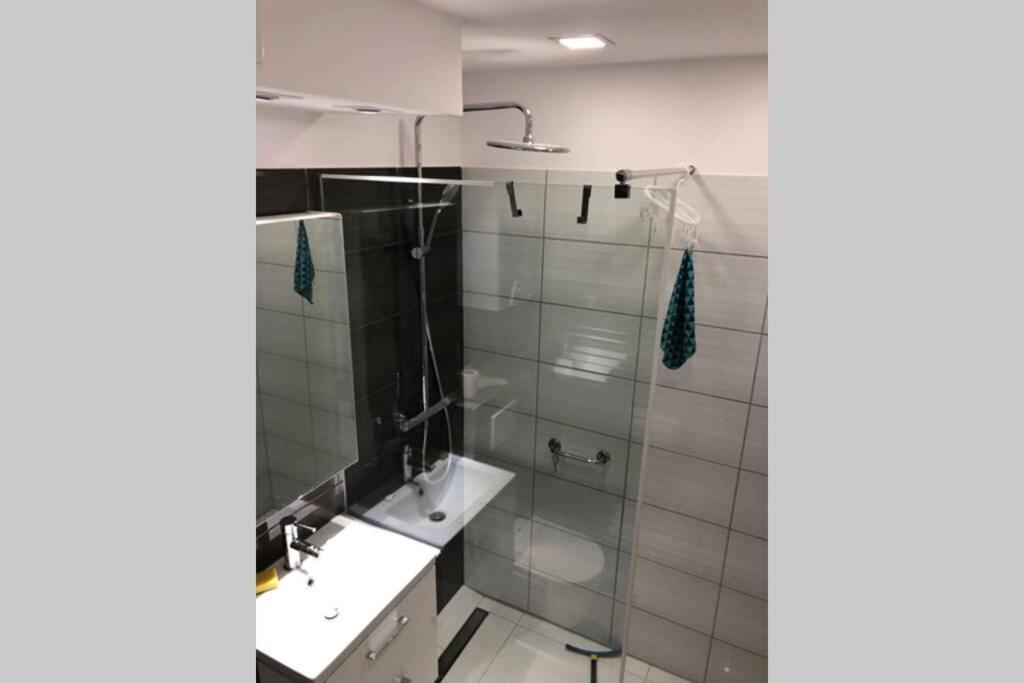 Apartament Sikornik 글리비체 외부 사진